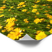 黄色のデイジー ポスター (角)