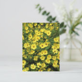 黄色のデイジー ポストカード (スタンド正面)