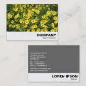 黄色のデイジー 名刺 (正面/裏面)
