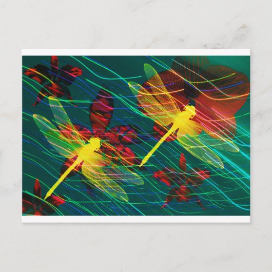 黄色のトンボ色 ポストカード (正面)