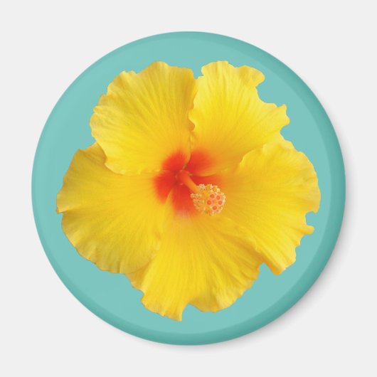 黄色のハイビスカスの花の写真 マグネット (正面)