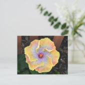 黄色のハイビスカスの花　写真の植物学 ポストカード (スタンド正面)