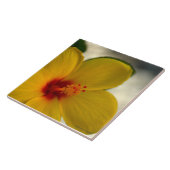 黄色のハイビスカス タイル (側面)