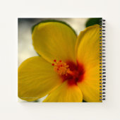 黄色のハイビスカス ノートブック (裏面)