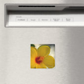 黄色のハイビスカス マグネット (インサイチュ (食洗機))