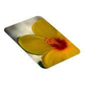 黄色のハイビスカス マグネット (右側)