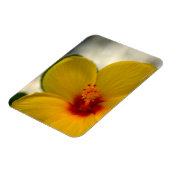 黄色のハイビスカス マグネット (左側)