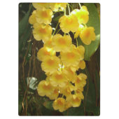 黄色のハンギングオーキッドトロピカルフラワー クリップボード (裏面)