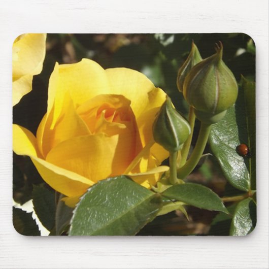 黄色のバラとテンジウムマウスパッド マウスパッド (正面)