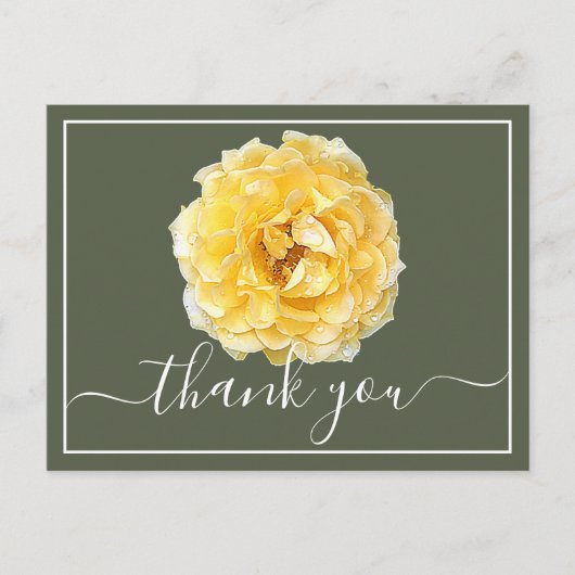 黄色のバラと露の滴 緑の背景 ありがとう ポストカード (正面)