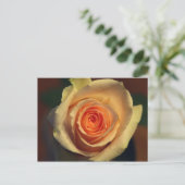 黄色のバラのはがき ポストカード (スタンド正面)