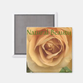 黄色のバラのマグネット マグネット (正面/裏面)