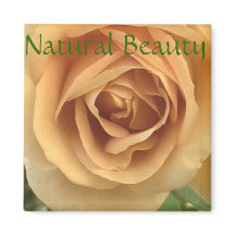 黄色のバラのマグネット