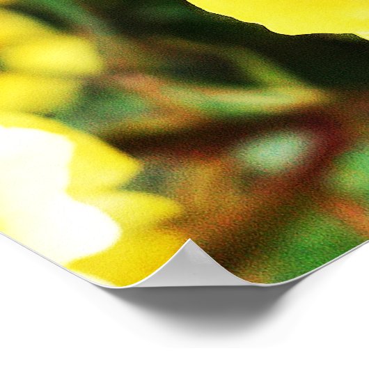 黄色のバラの写真~人生は変化している、賢く選択 ポスター (角)