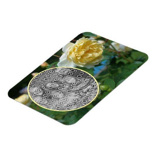 黄色のバラの花のフレーム自分の写真を作成 マグネット (左側)