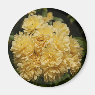 黄色のバラの花束 マグネット
