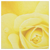 黄色のバラの花模様 白背景に美しい黄色のバラ ファブリック (見本)