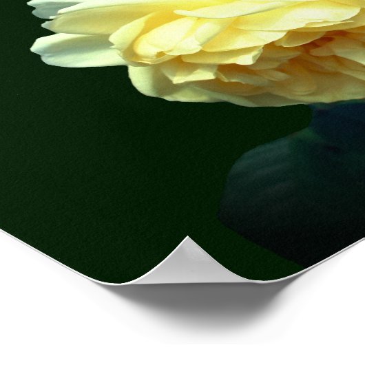 黄色のバラパーソナライズされたズ結婚ギフト ポスター (角)