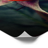 黄色のバラ芽と赤いハイライト ポスター (角)