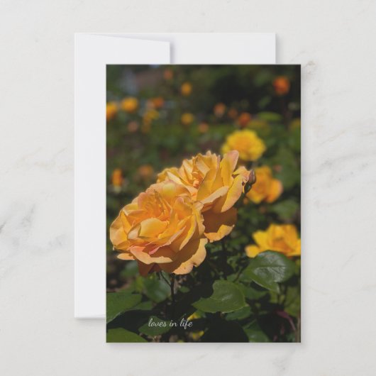 黄色のバラ ノートカード (正面)