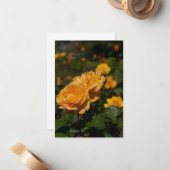 黄色のバラ ノートカード (正面/裏面インサイチュ)