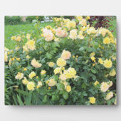 黄色のバラ フォトプラーク (正面)