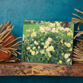 黄色のバラ フォトプラーク