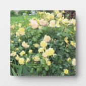 黄色のバラ フォトプラーク (正面)