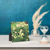 黄色のバラ フォトプラーク (インサイチュ)