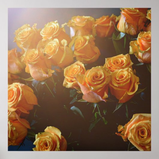 黄色のバラ ポスター (正面)