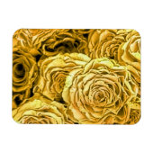 黄色のバラ マグネット (横)