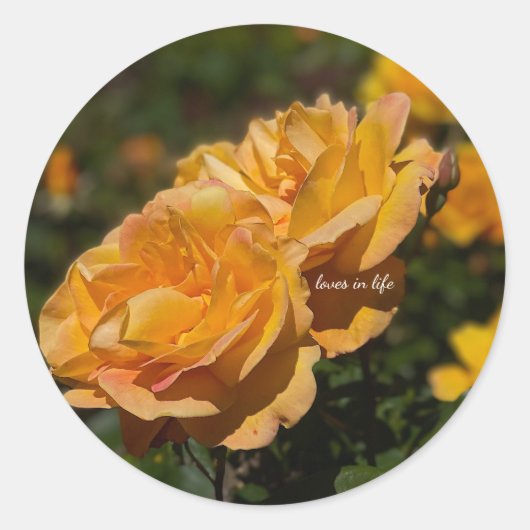 黄色のバラ ラウンドシール (正面)