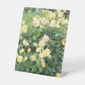 黄色のバラ 台座サイン (正面)