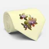 黄色のパレノプシス蘭 ネクタイ (ロール)