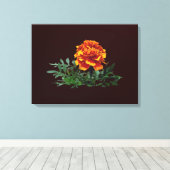 黄色のヒントを持つ1つのオレンジ色のマリゴールド キャンバスプリント (インサイチュ (ウッドフロア))