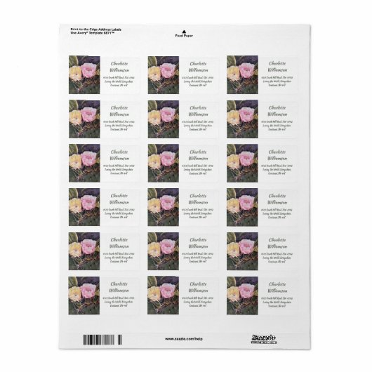 黄色のピンクのサボテンの花の色のアドレス ラベル (フルシート)