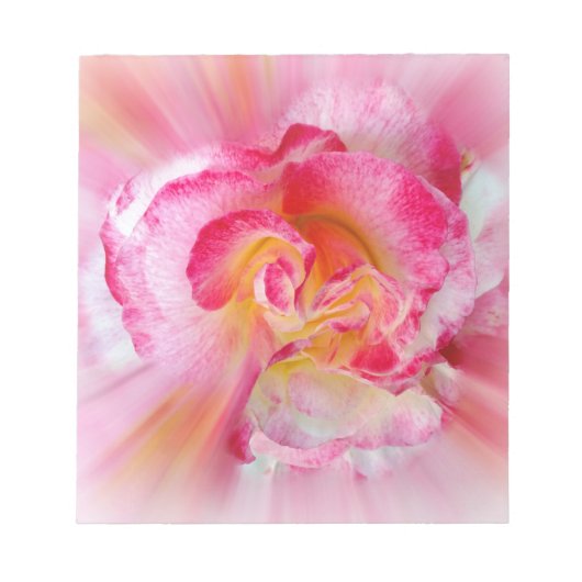 黄色のピンクのバラ ノートパッド (正面)