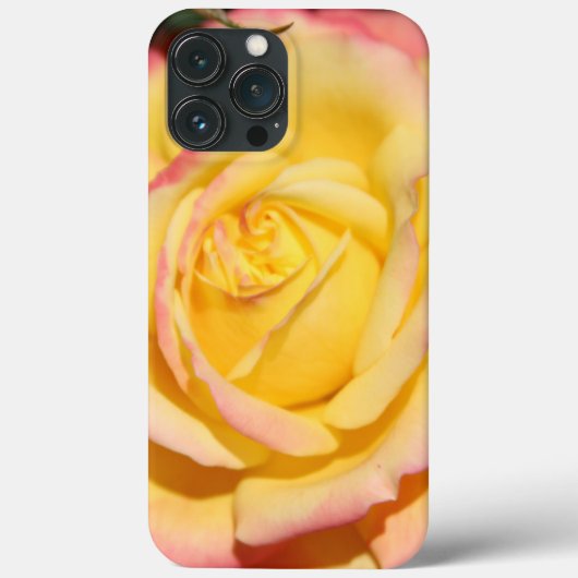 黄色のピンクの薔薇の花 Case-Mate iPhoneケース (裏面)