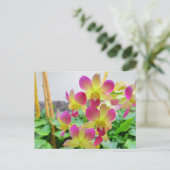 黄色のピンクの蘭 ポストカード (スタンド正面)