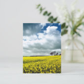 黄色のフィールド ポストカード (スタンド正面)