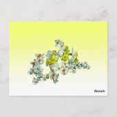 黄色のフローラ表の番号 ポストカード (裏面)