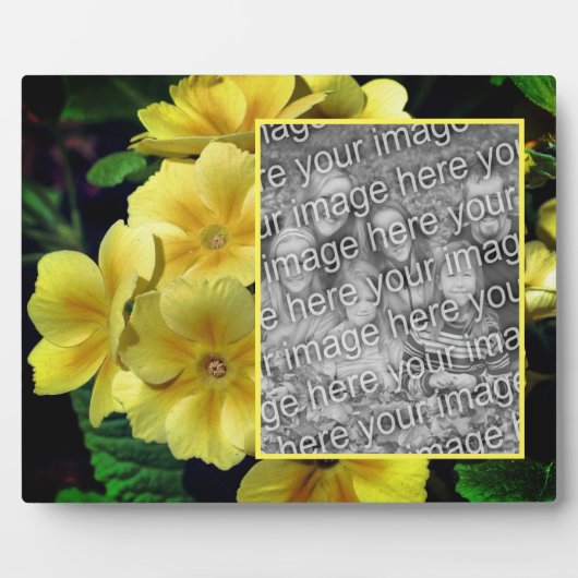 黄色のプリムローズの花自分の写真を作成 フォトプラーク (正面)