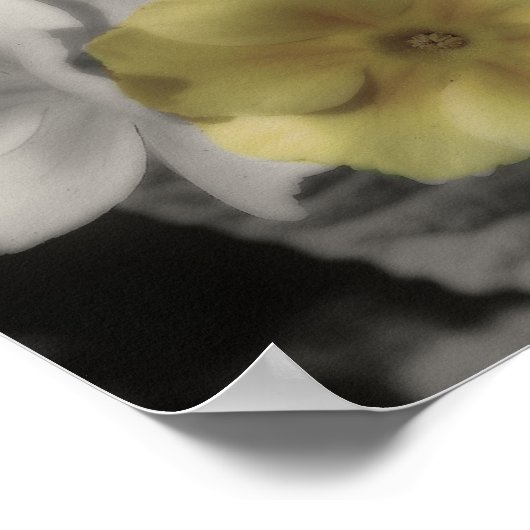 黄色のプリムローズフラワーヴィンテージ部分色 ポスター (角)