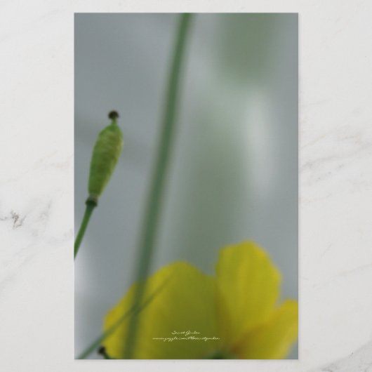 黄色のポピーの影12パーソナル化可能な文房具 便箋 (正面)