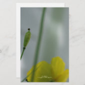 黄色のポピーの影12パーソナル化可能な文房具 便箋 (正面/裏面)