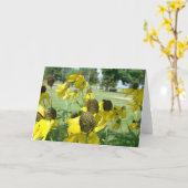 黄色のメキシカンハットの花 カード (黄色い花)