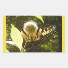 黄色のモナークステッカー 長方形シール