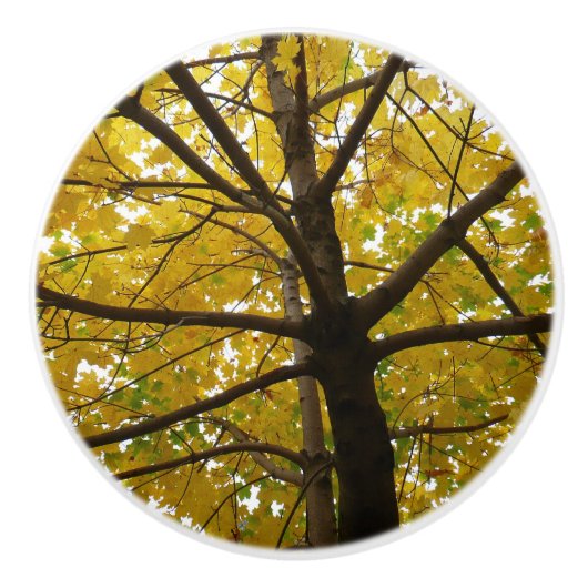 黄色のモミジのペア 紅葉の自然 セラミックノブ (正面)
