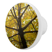 黄色のモミジのペア 紅葉の自然 セラミックノブ (右)