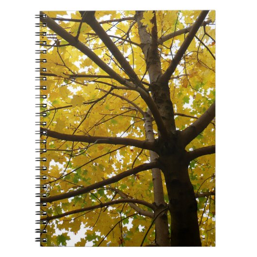 黄色のモミジのペア 紅葉の自然 ノートブック (正面)
